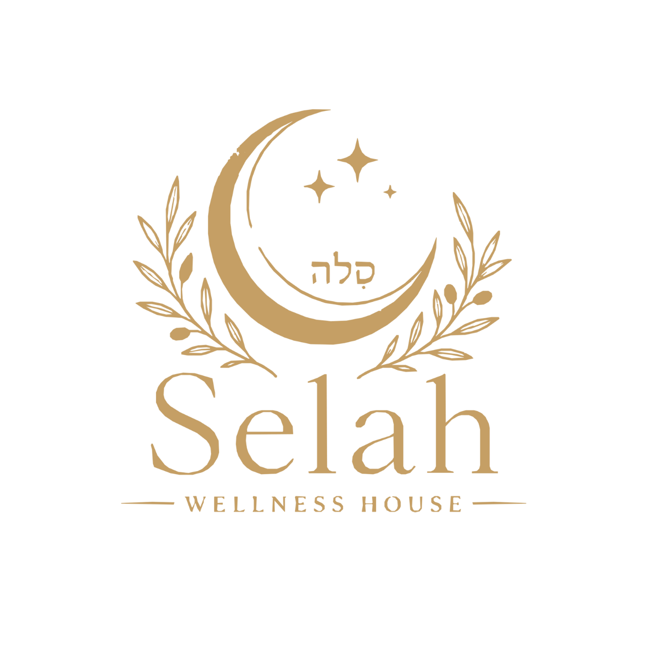 selahspa.mx